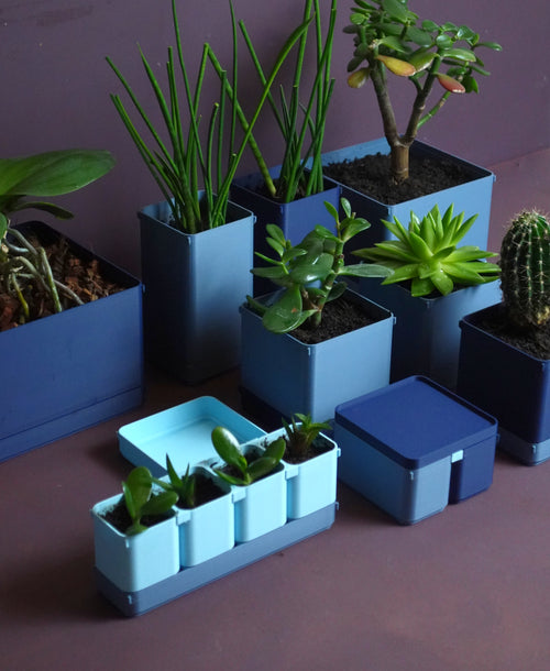 BOXY Pflanztöpfe – Modulares Stapelsystem für Pflanzen