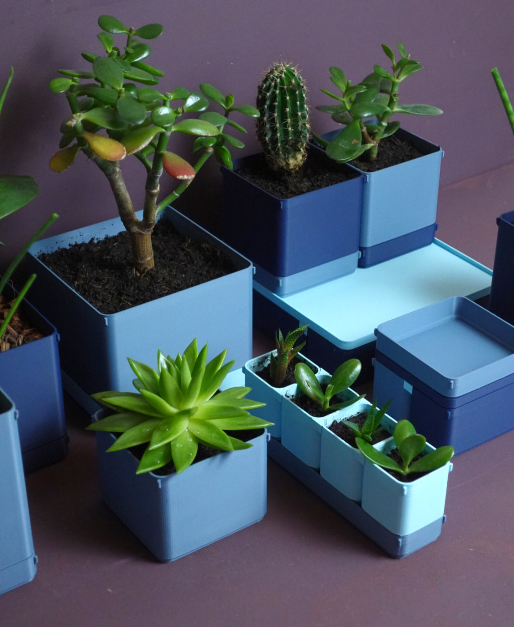 BOXY Pflanztöpfe – Modulares Stapelsystem für Pflanzen