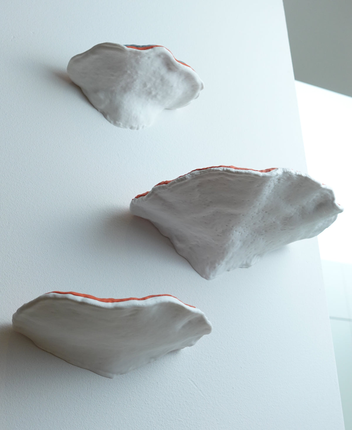 Baumschwamm Wandregal "Formitopsis Pinicula" II – 4er-Set