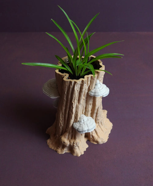 Baumstamm Blumentopf "Hainbuche" mit Drainagefach