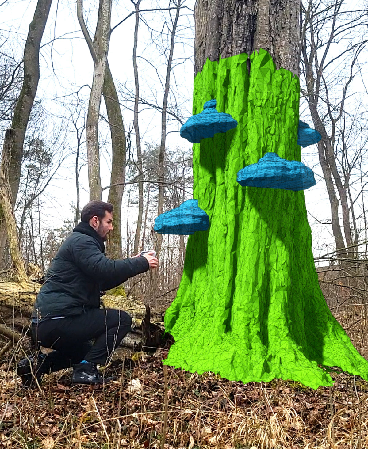 Baumstamm Blumentopf "Hainbuche" mit Drainagefach