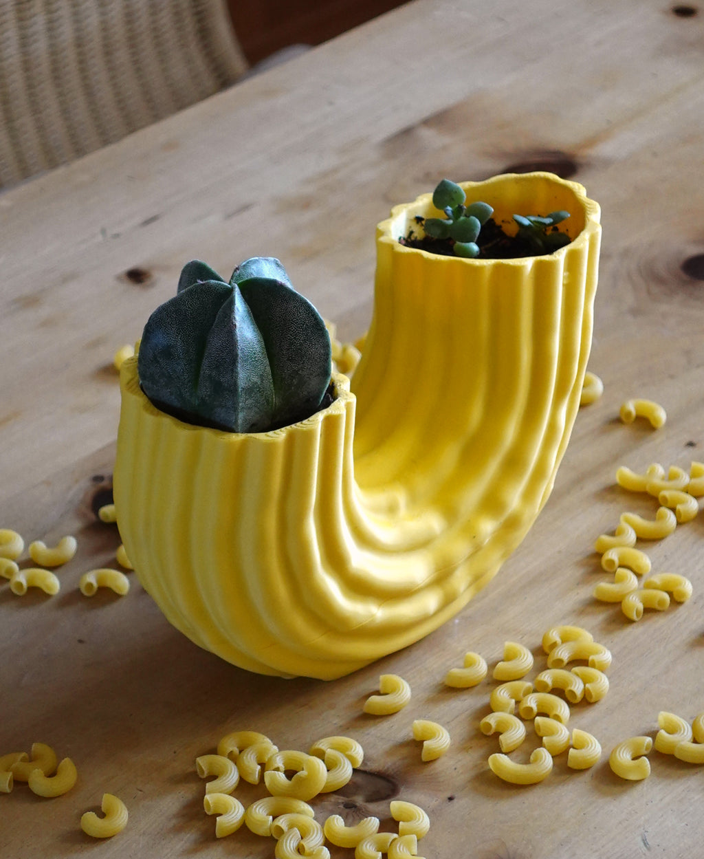 Macaroni-Blumentopf mit Drainagefach – Kreative Pflanzendeko