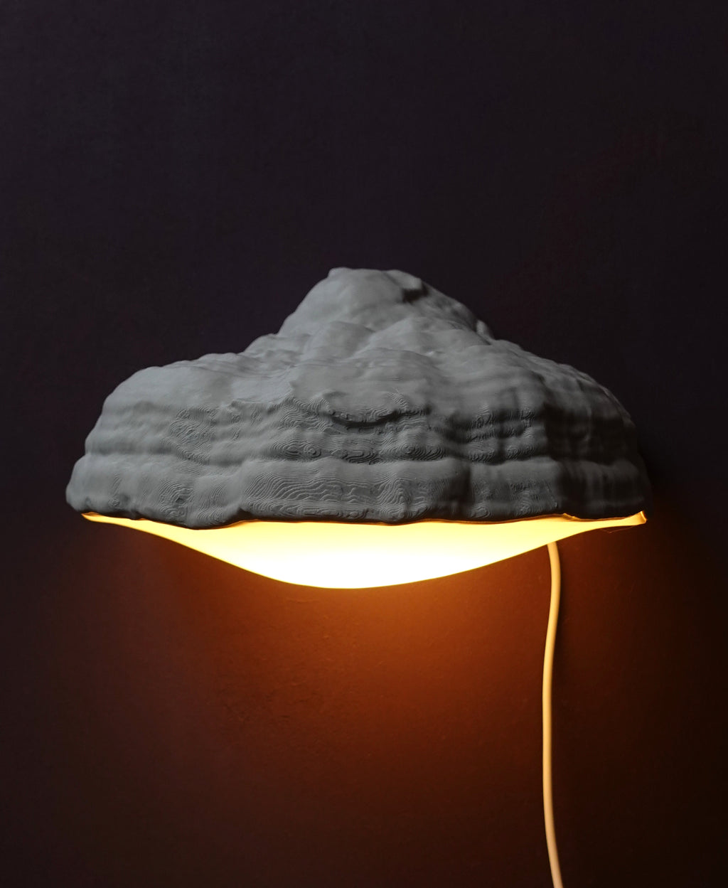 Pilz Wandlampe "Fomes Fomentarius" – Organisches Lichtobjekt