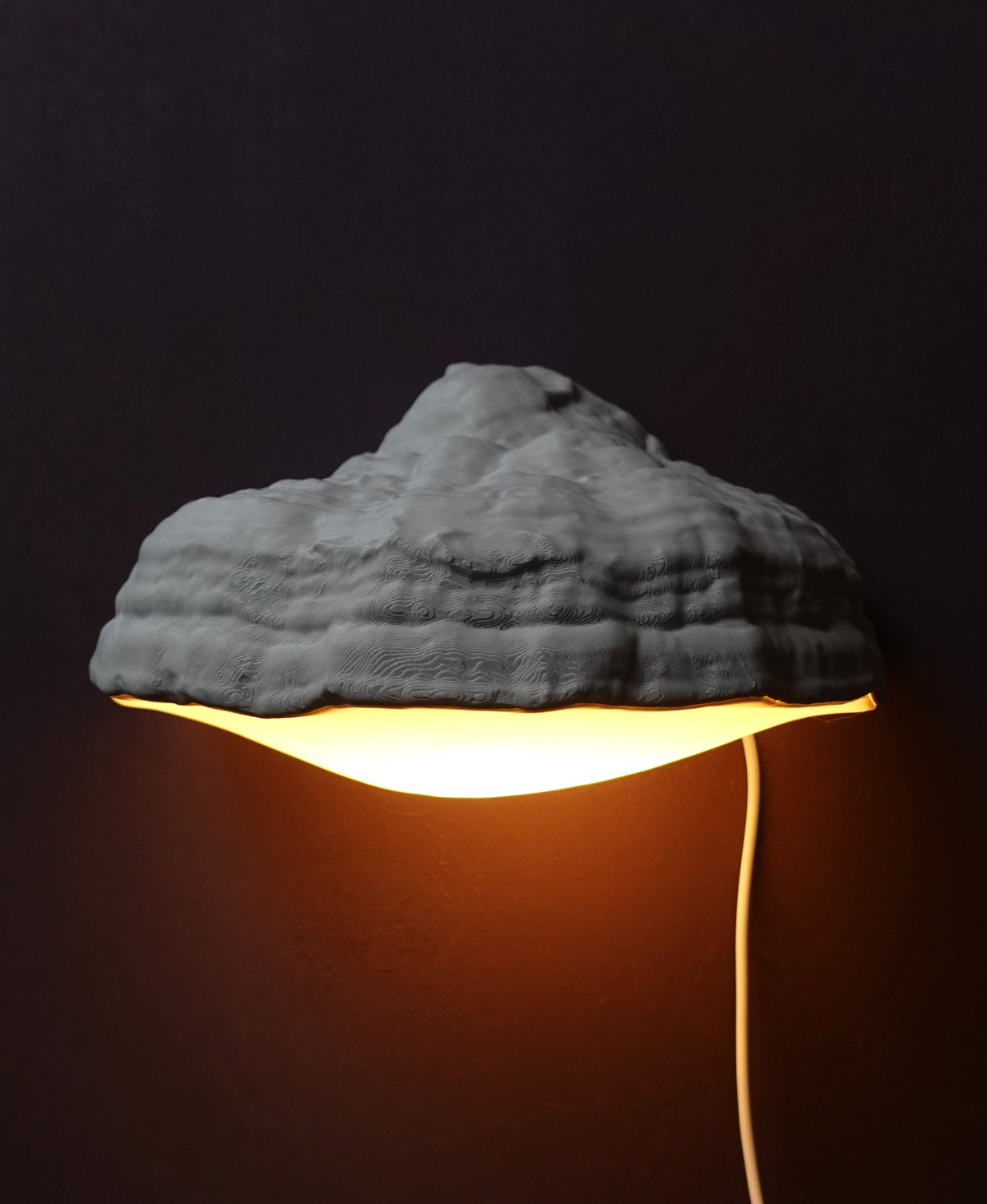 Pilz Wandlampe "Fomes Fomentarius" – Organisches Lichtobjekt