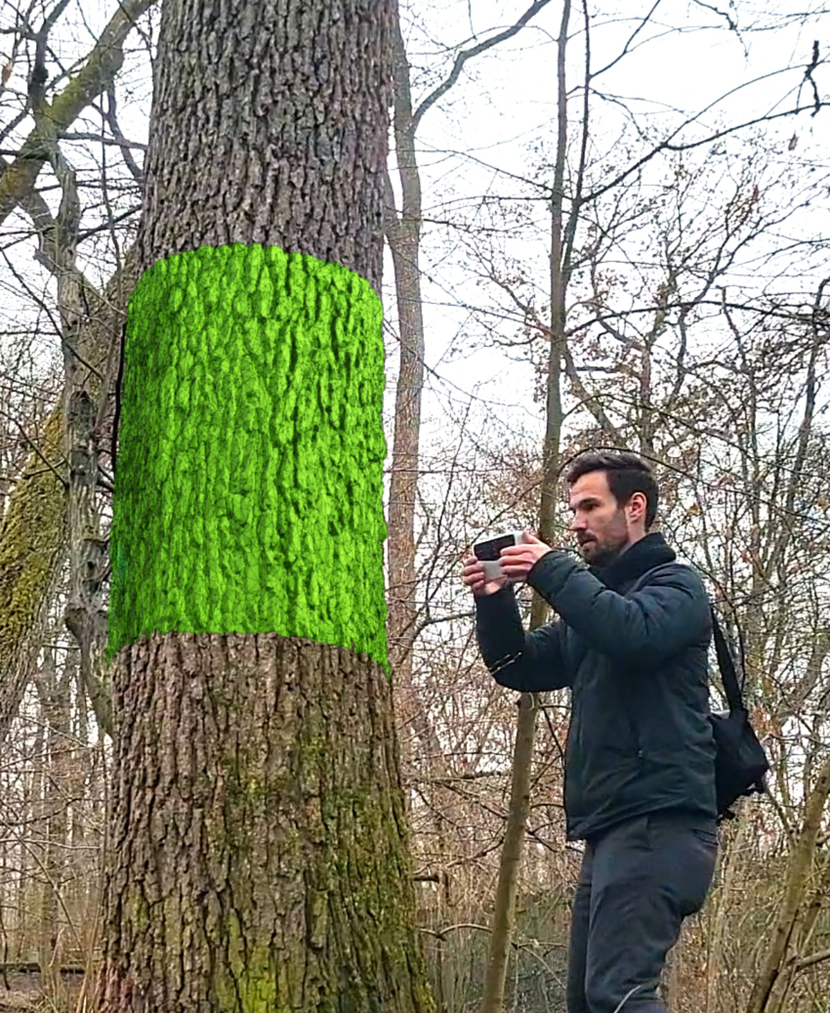 Baumstamm Mülleimer mit Schwingdeckel "Schwarzerle" – 3D-Scan