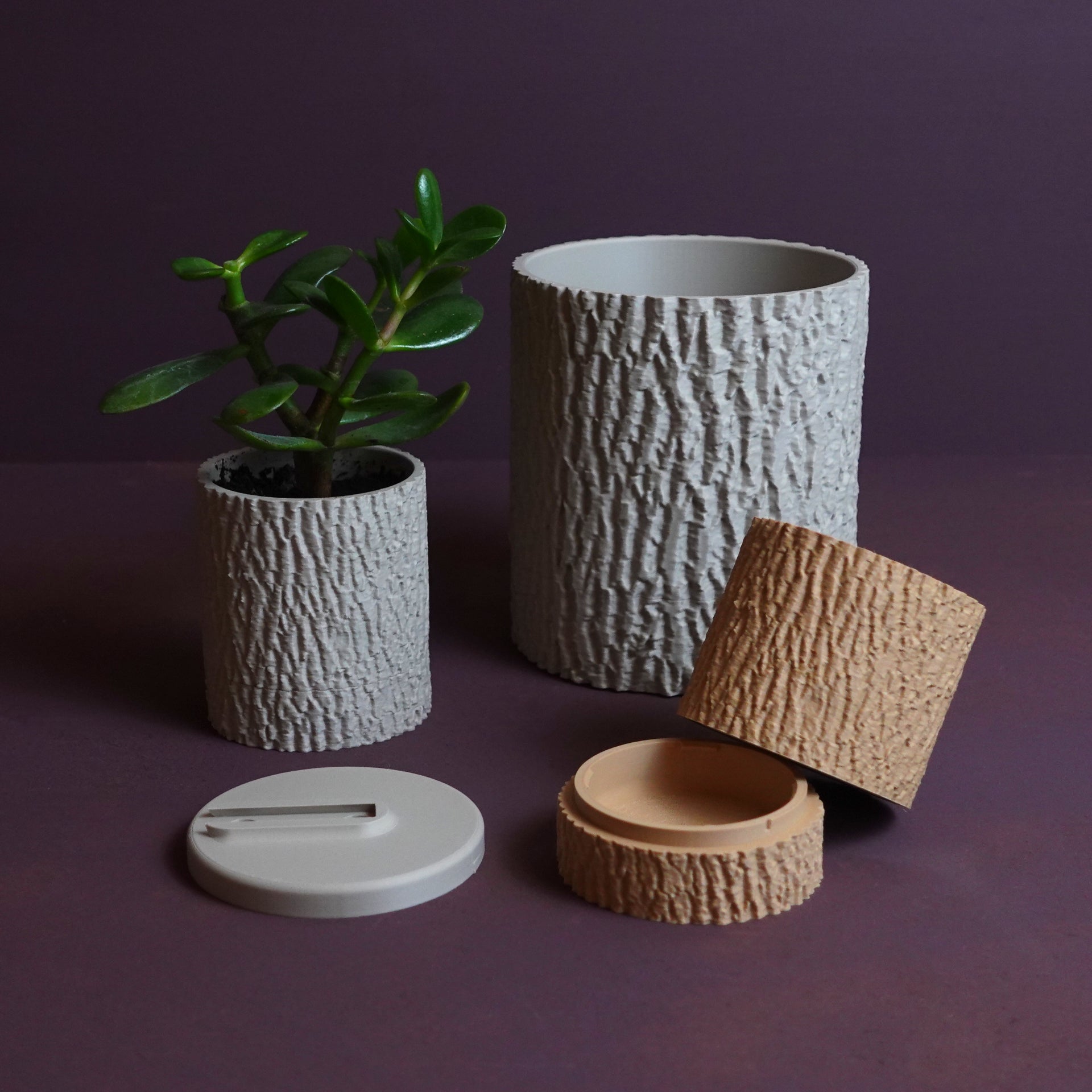 Baumrinden-Blumentopf "Gemeine Esche" – Naturgetreuer 3D-Scan