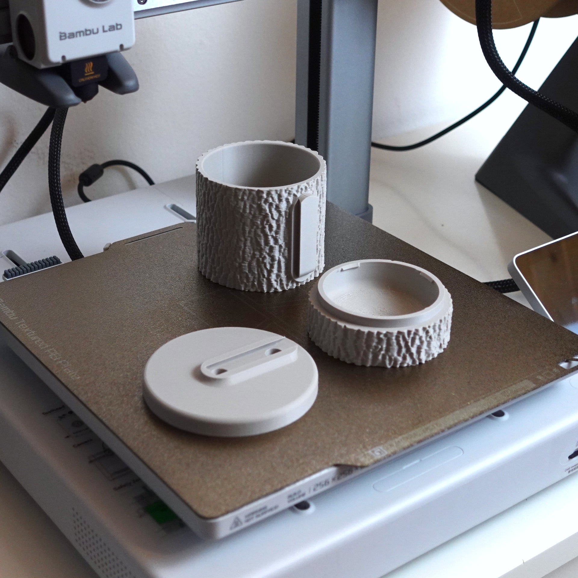 Baumrinden-Blumentopf "Gemeine Esche" – Naturgetreuer 3D-Scan