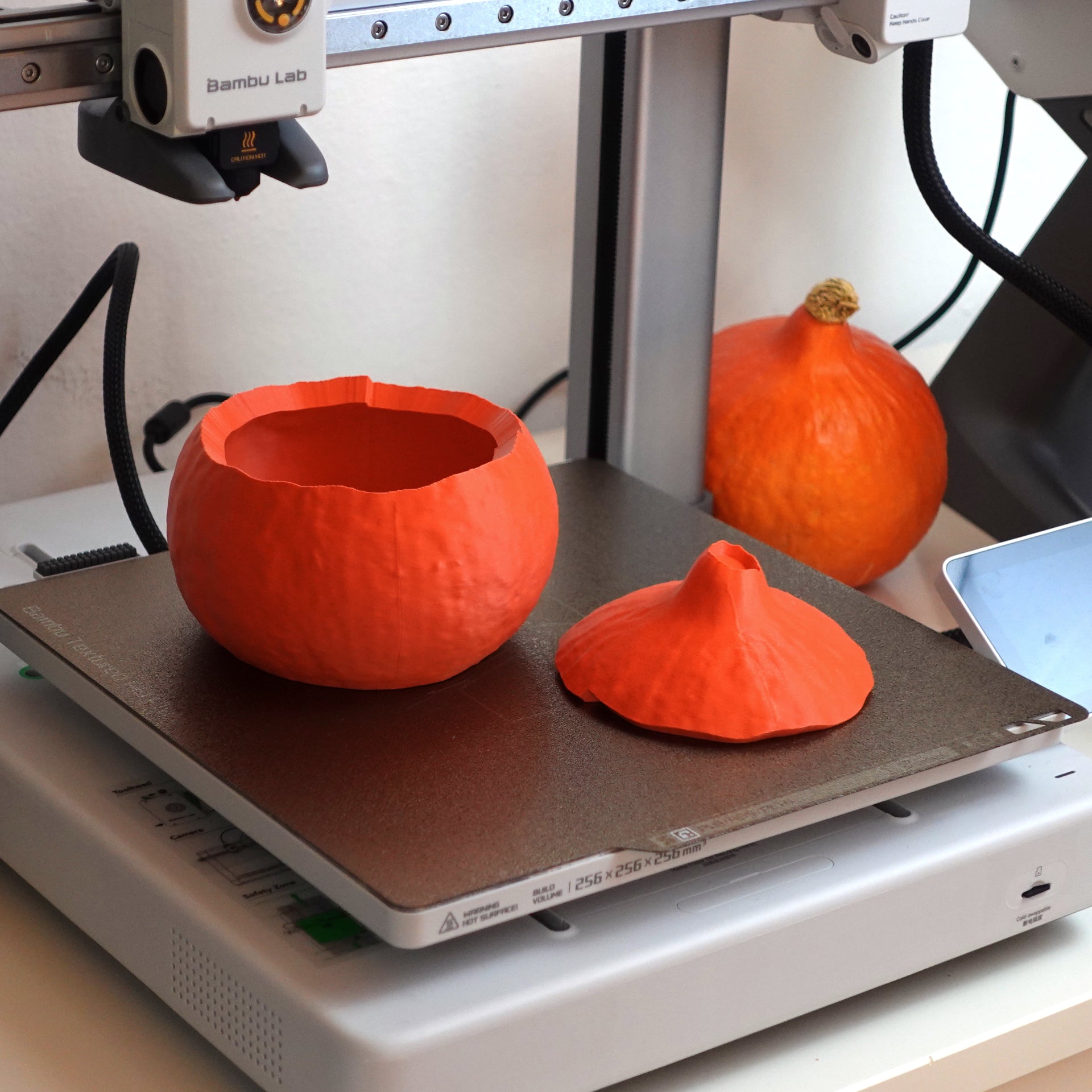 Kürbis-Schalenset – 3D-Scan Editionen für Küche & Deko