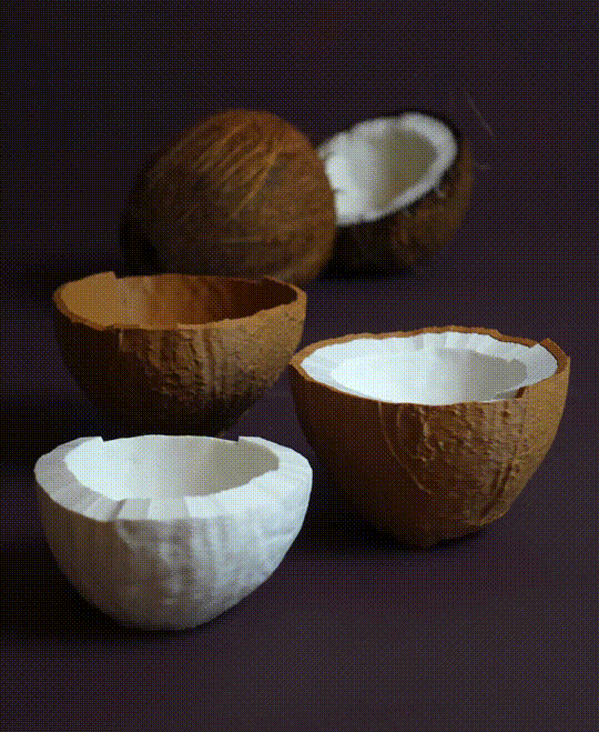 Kokosnuss-Schalenset – 4 stapelbare Schalen ergeben eine Kokosnuss
