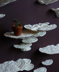 Pilz Wandregal "Trametes Gibbosa" – Naturalistisches Bundle