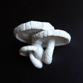 Pilz Wandregal "Lentinula Edodes" – Wächst aus der Wand