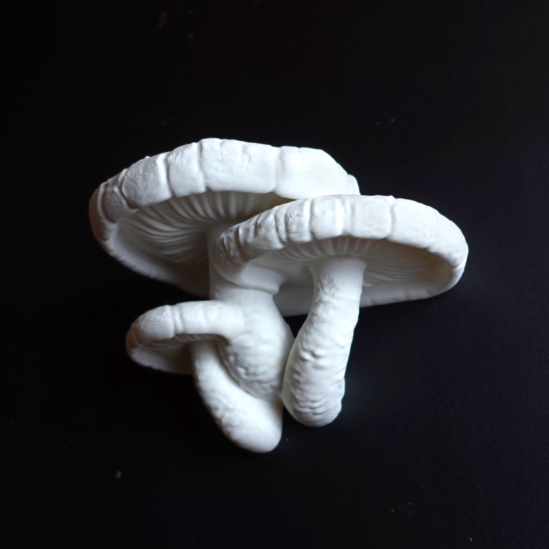 Pilz Wandregal "Lentinula Edodes" – Wächst aus der Wand