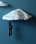 Pilz Schlüsselbrett Magnet "Ganoderma Carnosum" – 3D-Scan