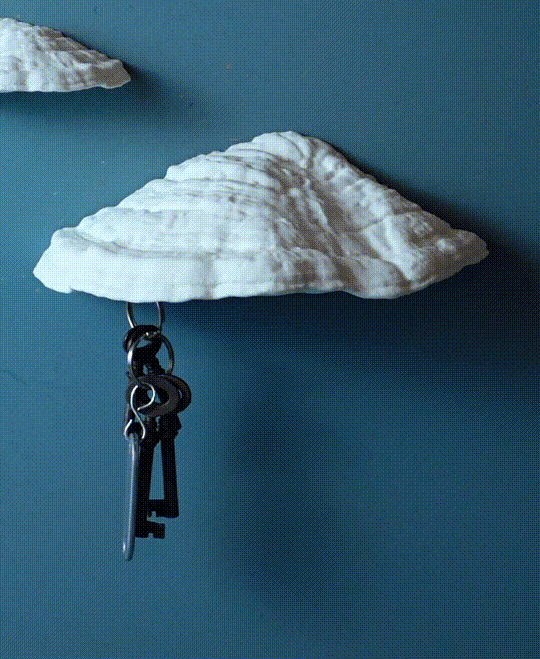 Pilz Schlüsselbrett Magnet "Ganoderma Carnosum" – 3D-Scan