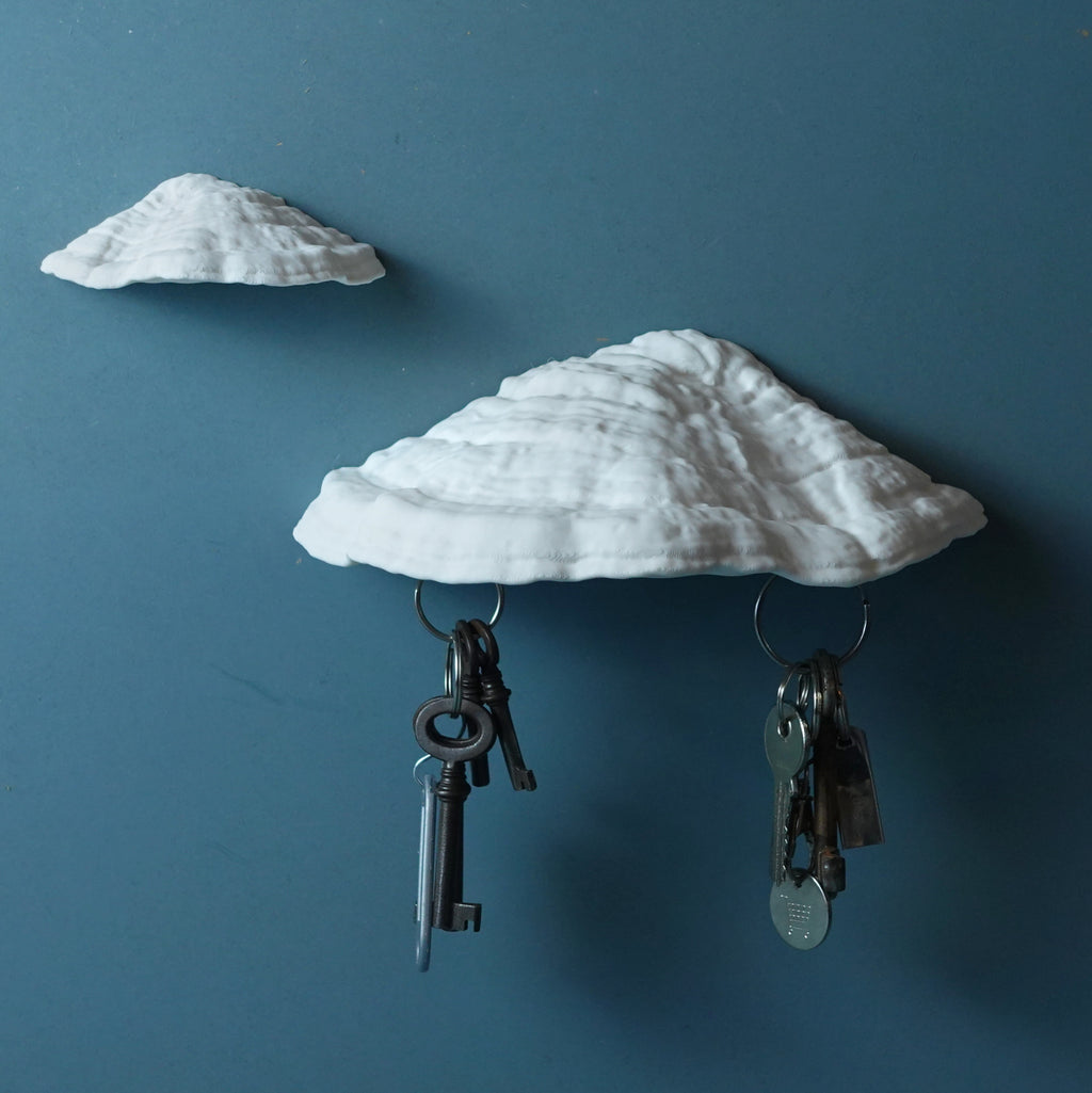 Pilz Schlüsselbrett Magnet "Ganoderma Carnosum" – 3D-Scan