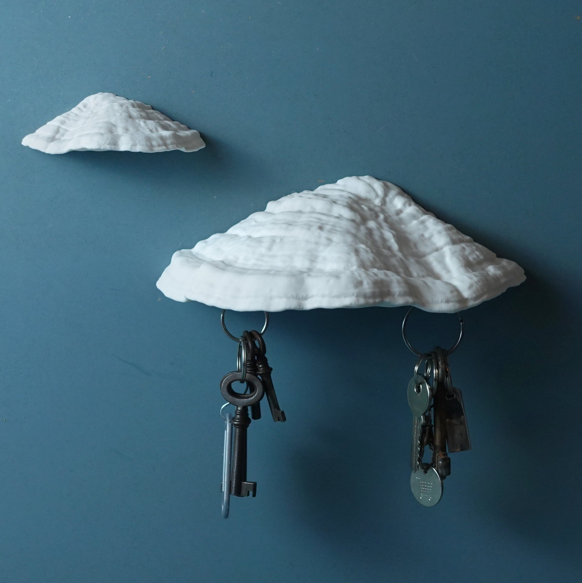 Pilz Schlüsselbrett Magnet "Ganoderma Carnosum" – 3D-Scan