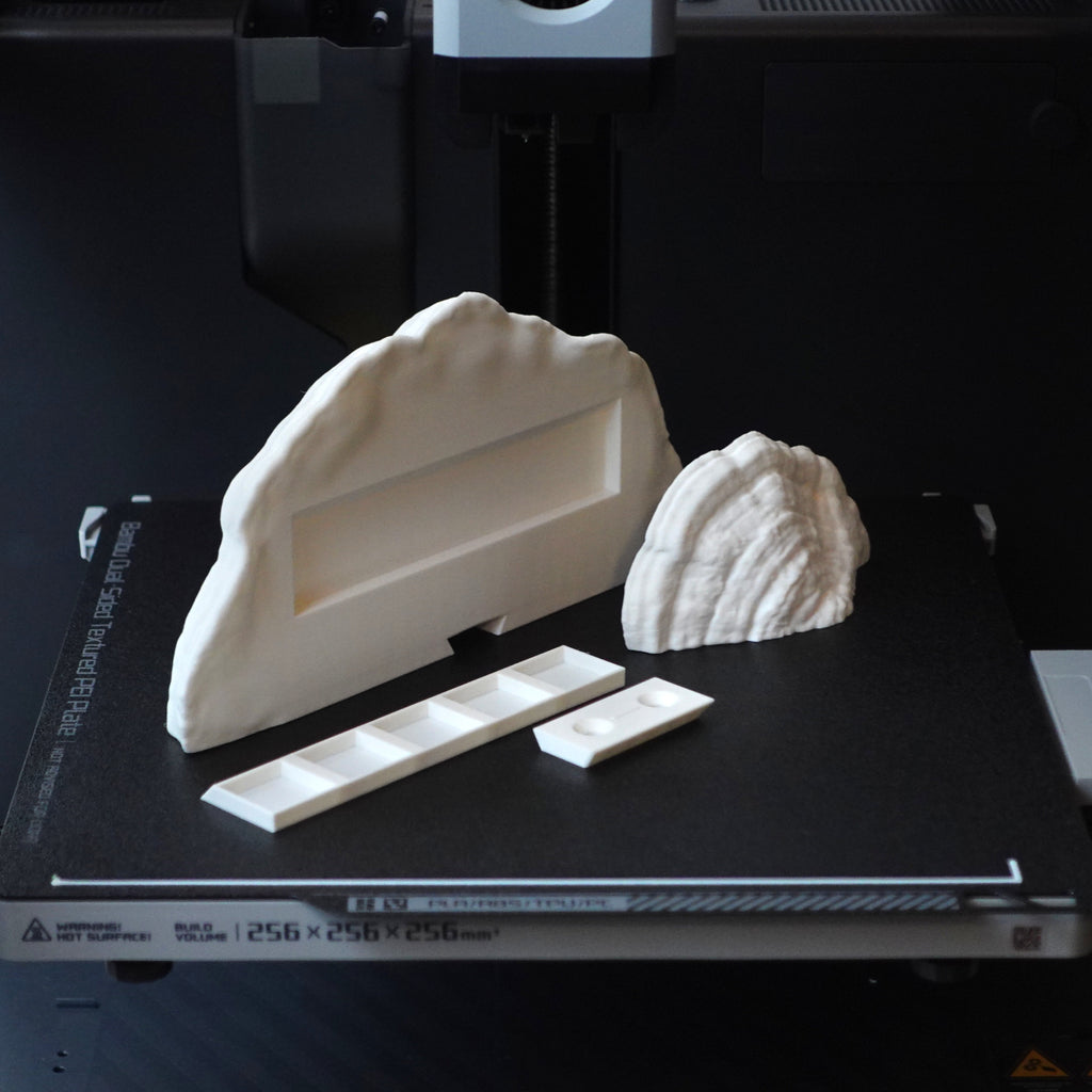 Pilz Schlüsselbrett Magnet "Ganoderma Carnosum" – 3D-Scan