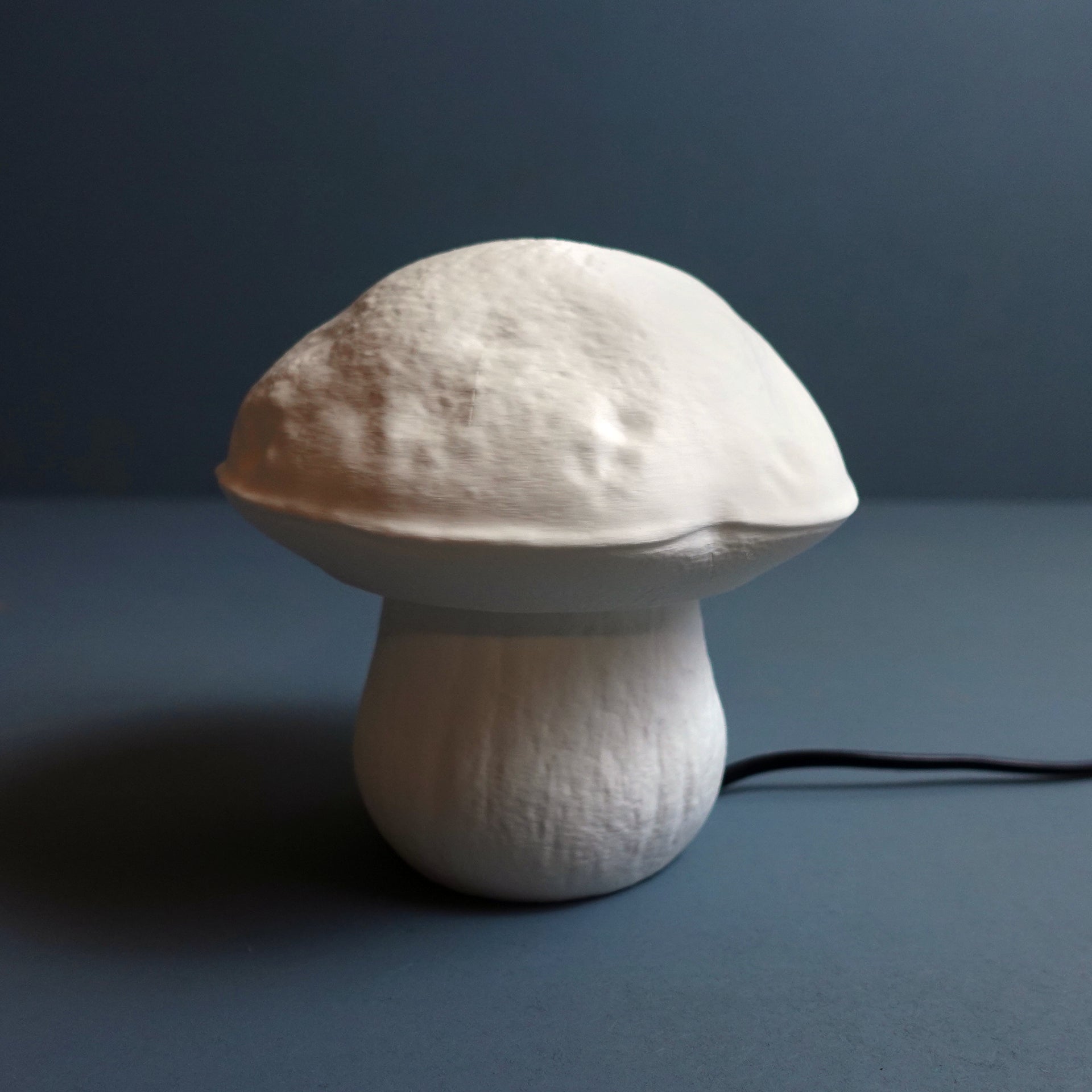 Steinpilz Tischlampe "Boletus Edulis" – Natürliches Lichtobjekt