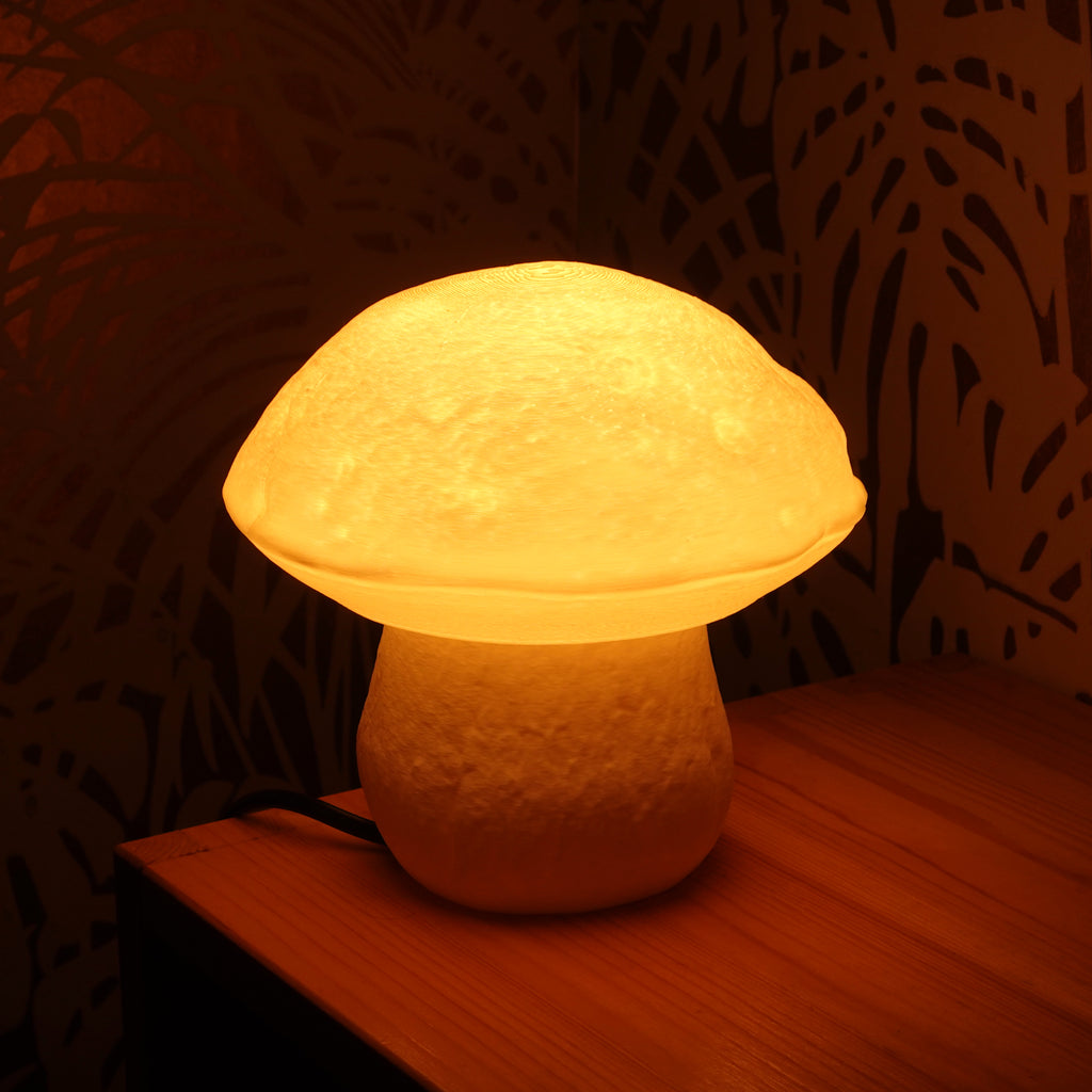 Steinpilz Tischlampe "Boletus Edulis" – Natürliches Lichtobjekt