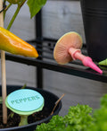 Pilz Pflanzenstecker "Agaricus" – 59 Beschriftungen inklusive