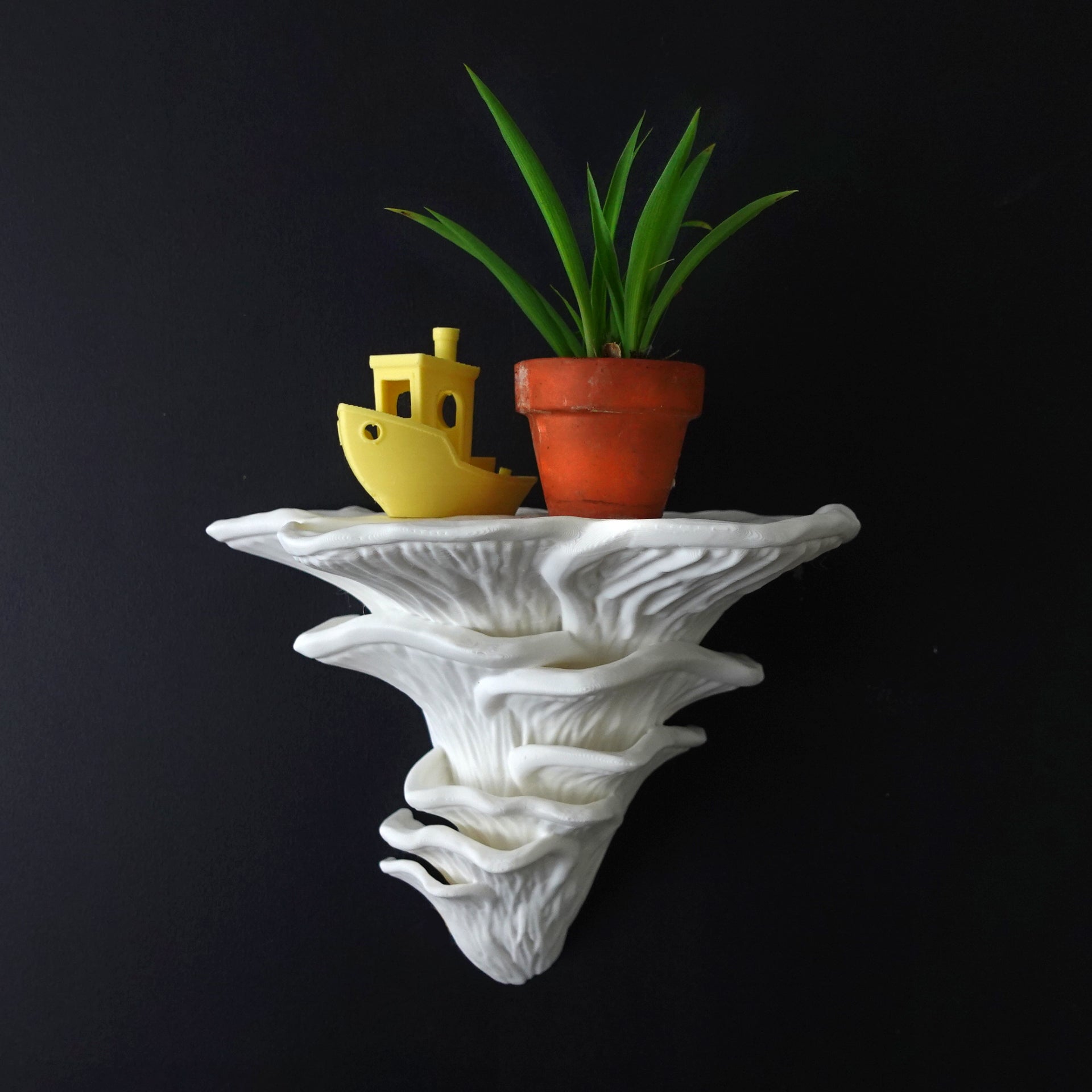 Pilz Wandregal "Pleurotus Djamor" – Rosafarbenes Wanddeko-Regal