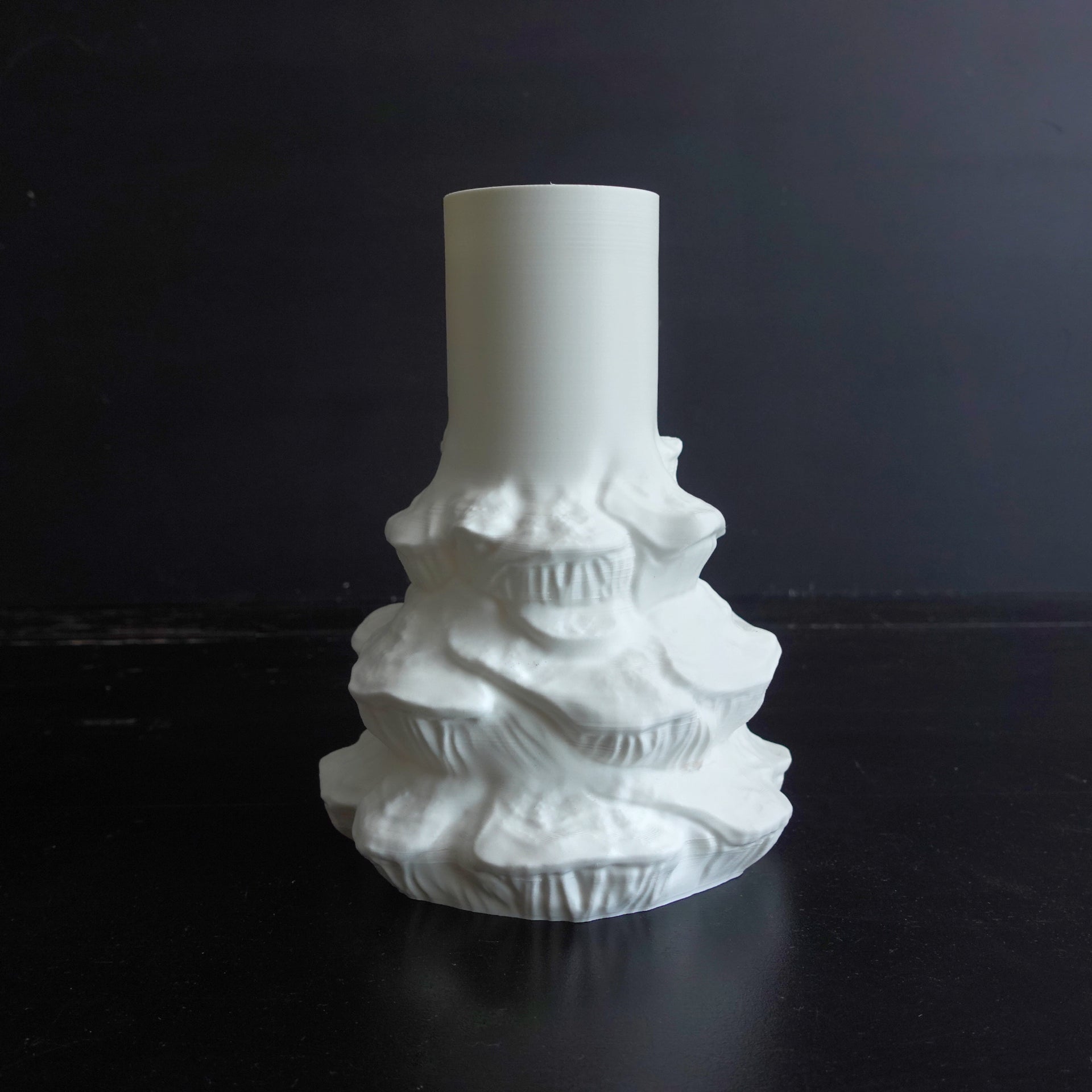Pilz Vase "Gleophyllum Abietinum" – Einzigartige Blumenvase