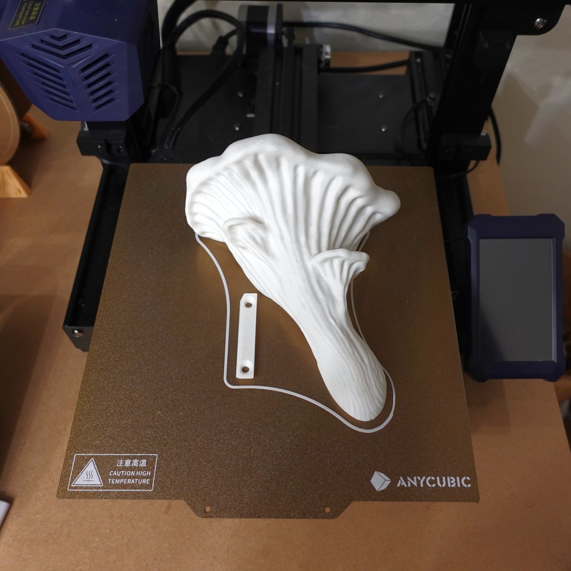 Pilz Wandregal "Austernpilz" – Organisch Wachsend